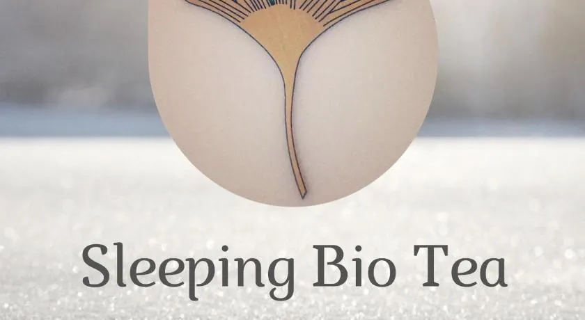 Sleeping Bio Tea - Image 1
