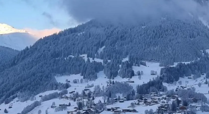WEF Klosters Executive Apartment with Direct Train to Davos - Image 1
