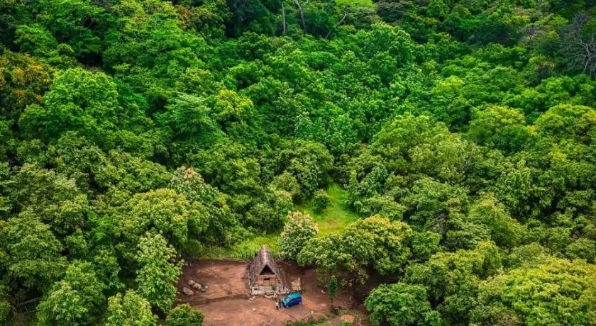 The Forest Edge Resort - Image 1