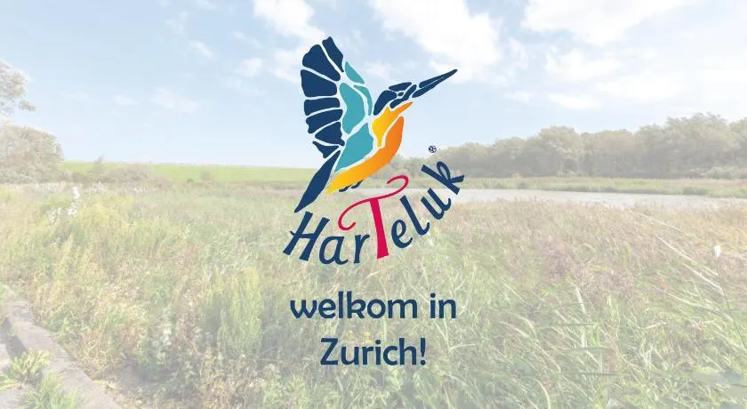 HarTeluk Afsluitdijk Zurich - Image 1