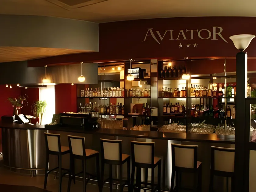 Aviator Hotel Restauracja & SPA - Image 1