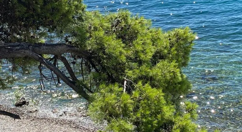 RIA Lungomare - Image 1