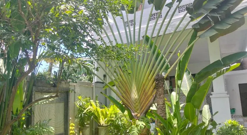 Merry's House canggu - Image 1
