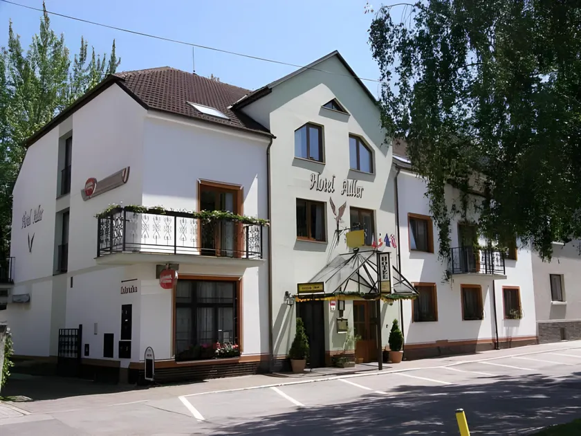 Hotel Adler - Image 1