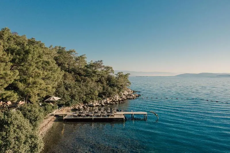 Amanruya - Image 1