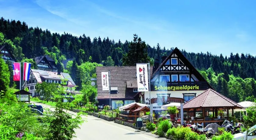 Hotel-Berggasthof Schwarzwaldperle - Image 1
