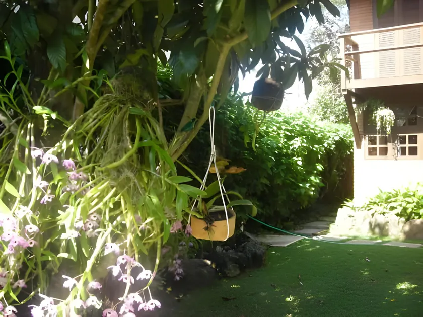 Recanto Marazul - Image 1