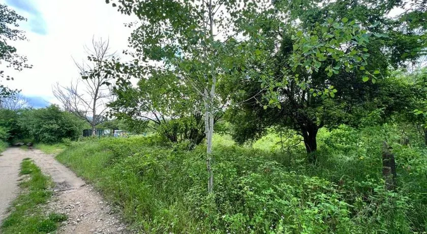 Къмпинг Частен Двор BULGARIAN CAMPSITE for Tents - Image 1