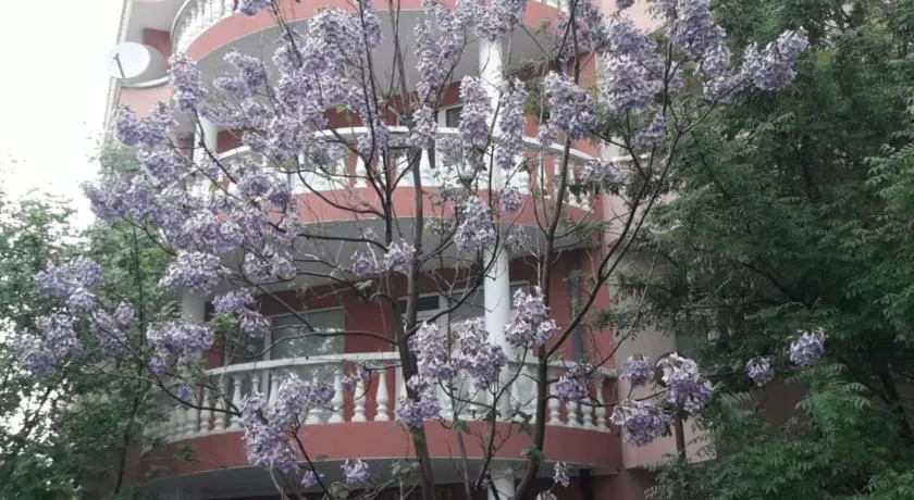 Art Guest House Orchidea - Image 1