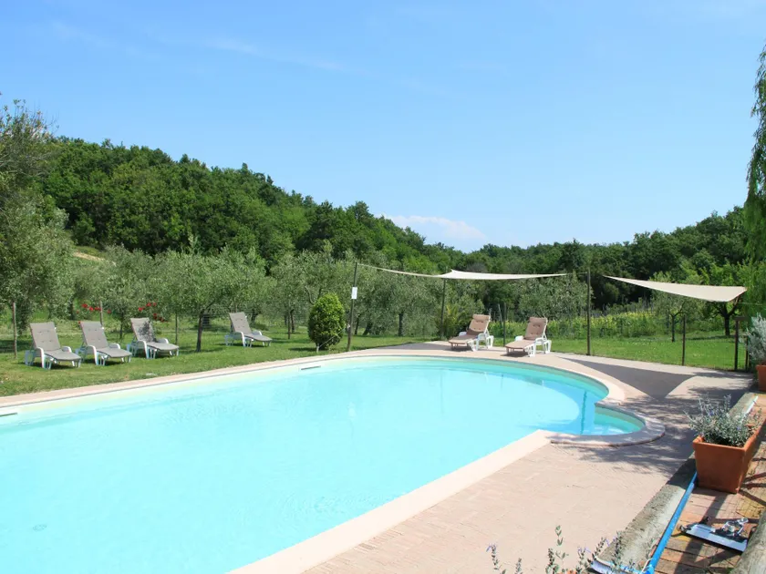 Apartment between Pisa and Livorno - Image 1