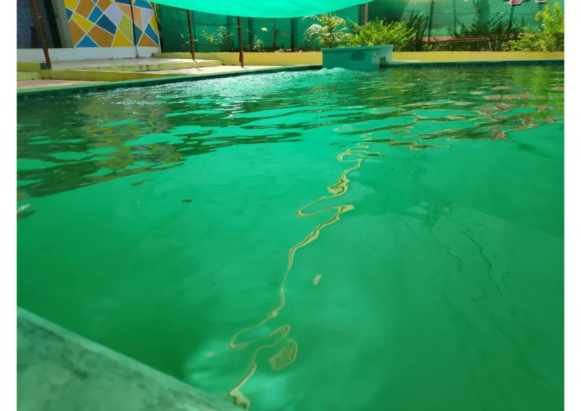 Green Resort - Image 1