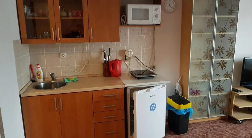 Apartment Příbram - Image 1