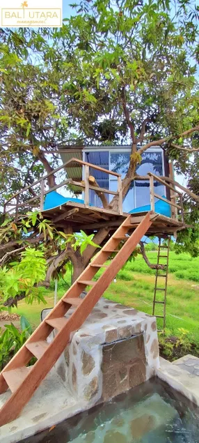 A Mango Tree House with a private swimming pool - Image 1