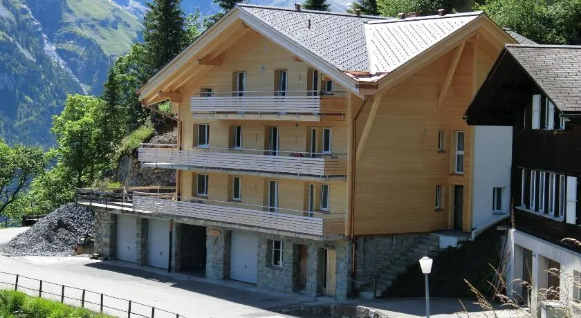 Chalet Raufthubel - Image 1