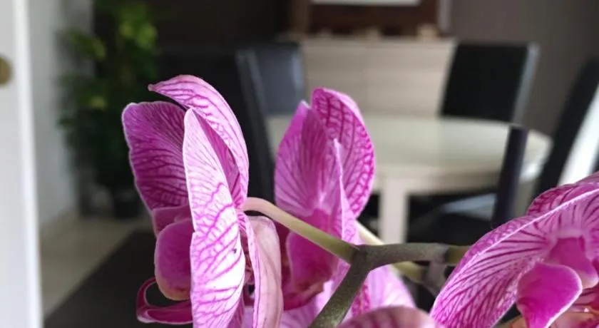 Nano House - Image 1