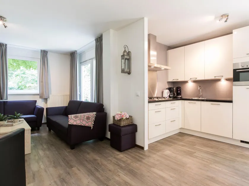 Comfortable villa with combi-microwave in green surroundings - Image 1