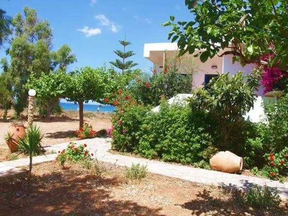 Fragokastello Star - Image 1