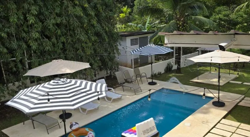 oasis with pool near Panama Canal - Image 1