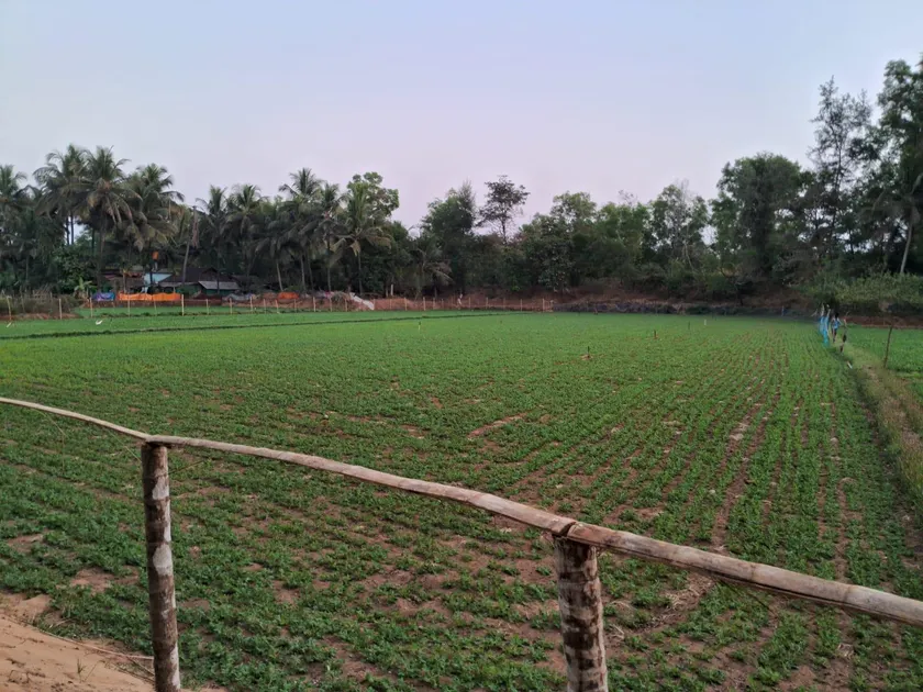 Tent Life Gokarna - Image 1