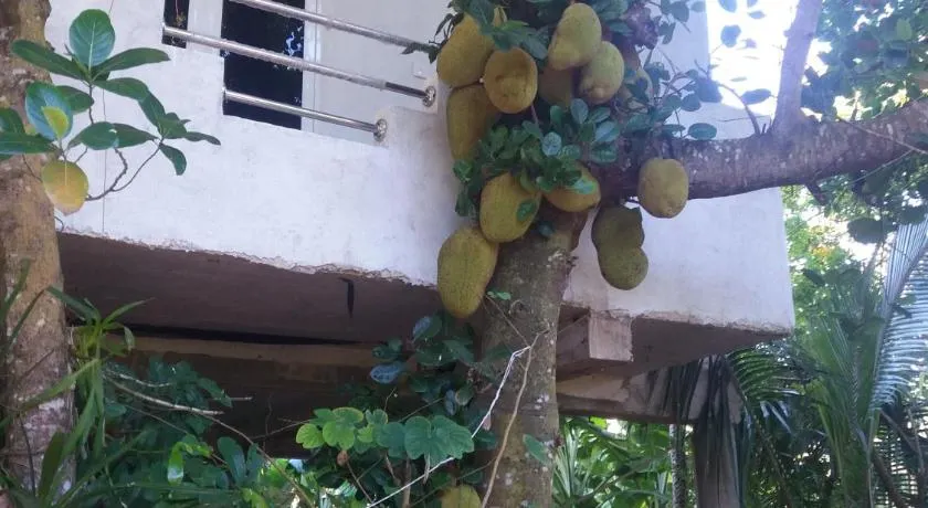 Nature Home - Image 1