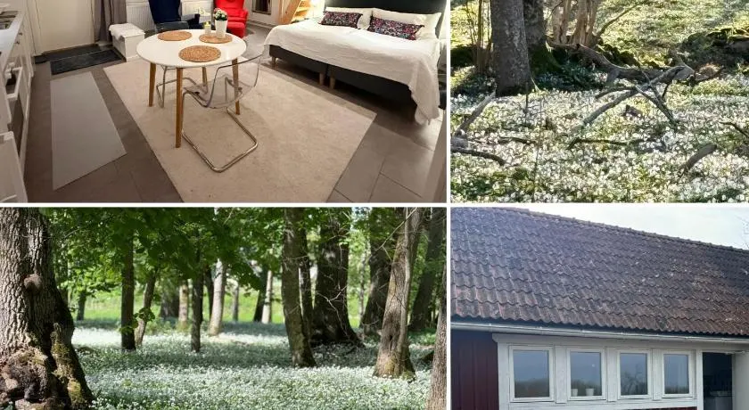 Kinnekulle bed & breakfast - Image 1