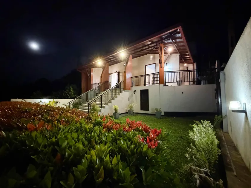 Albion Nest Galle - Image 1