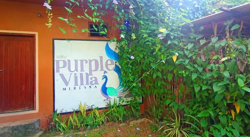 New Purple Villa - Image 1