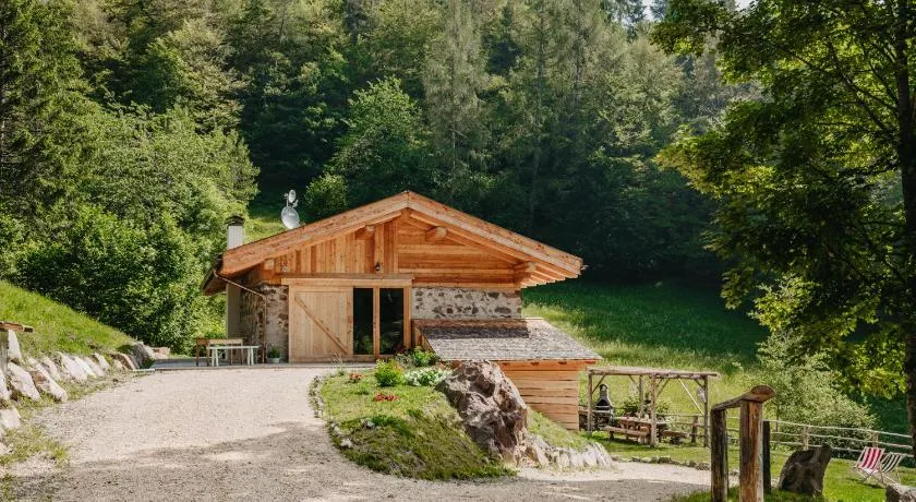 ODOMI MASO IM HOLZ - Image 1
