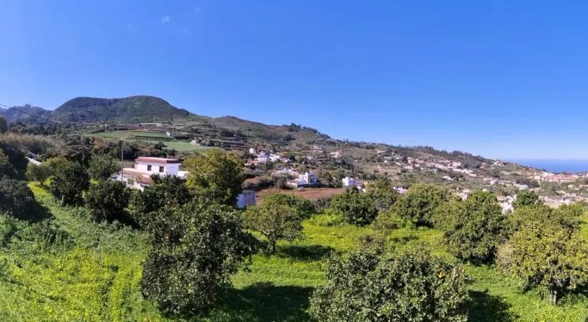 La Casa de Teror - Image 1
