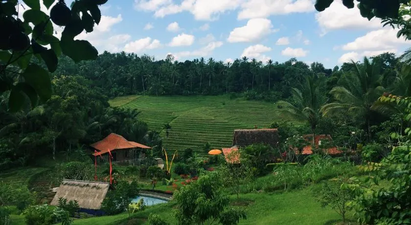 Bali Lush - Image 1