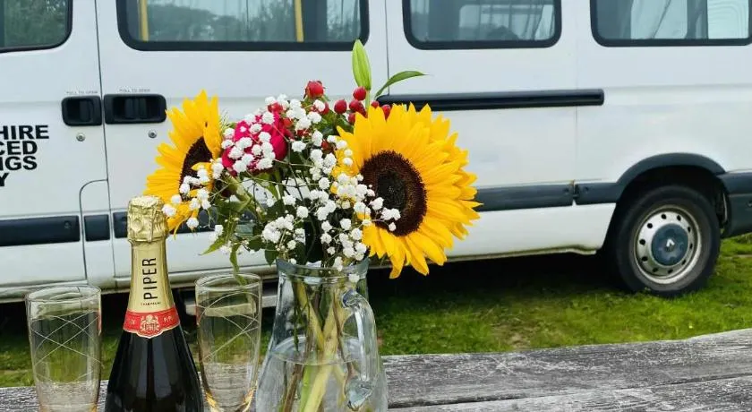 Quiet peaceful relaxing off grid Campervan Seaview and Ponies - Image 1