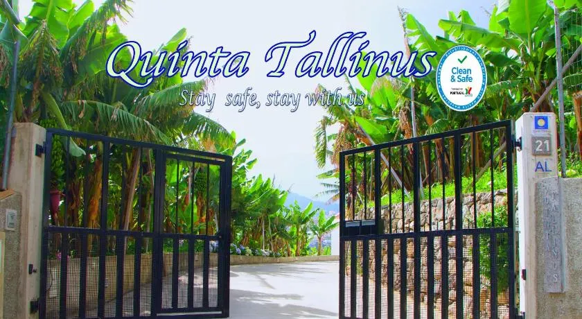 Quinta Tallinus - Image 1