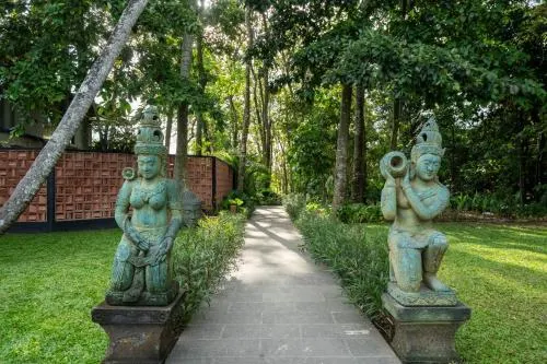 Yara Wellness - Image 1