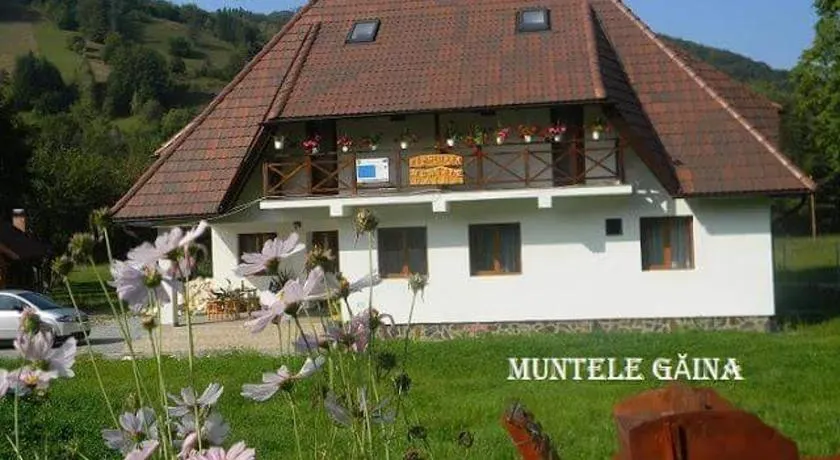 Pensiunea Muntele Gaina - Image 1