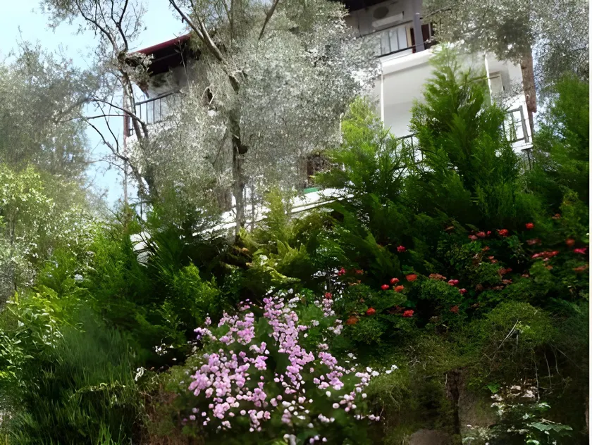 Violetta Studios & Apartments - Image 1