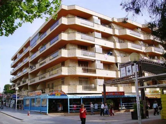 Iris Bahia Dorada - Image 1
