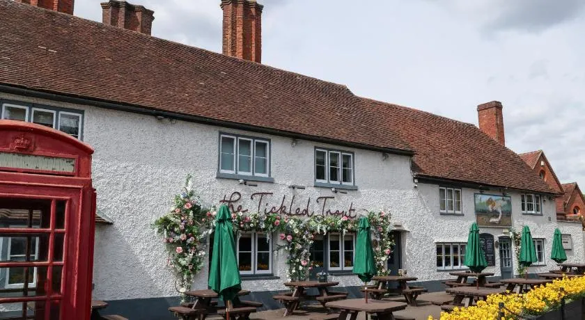The Tickled Trout - Image 1