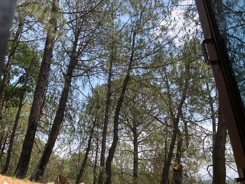 Jugle Cave Home Stay - Image 1