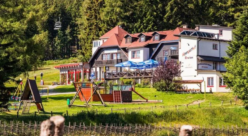 Alpengasthof Enzian - Image 1