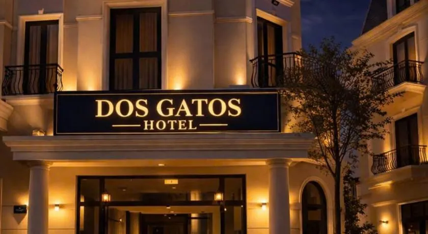 DOS GATOS Hotel - Image 1