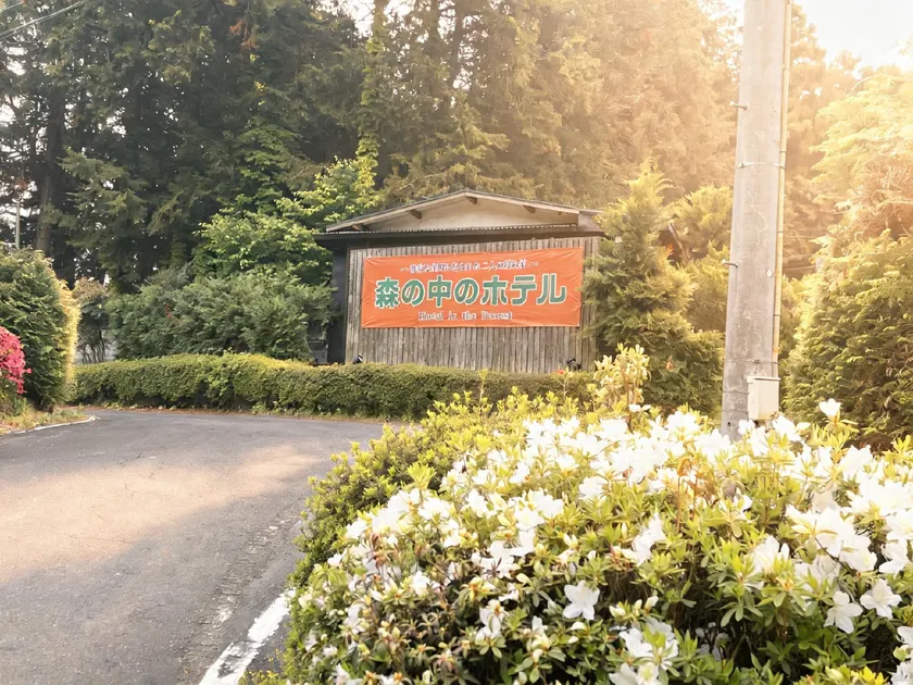 Hotel in the Forest - Image 1