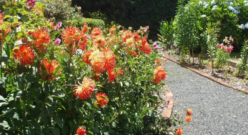 Boat Harbour Garden Cottages - Image 1