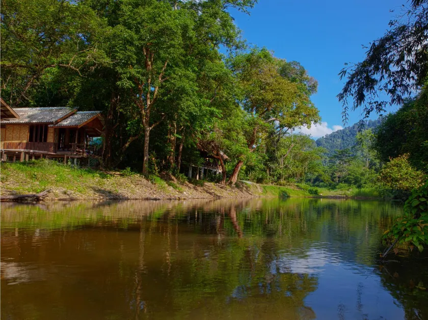 Khao Sok Riverside Cottages - Image 1