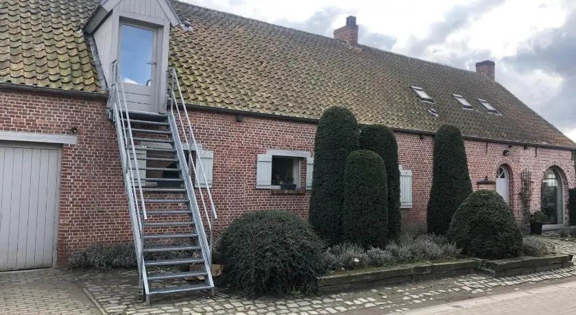 slapen bij alpacas - Image 1