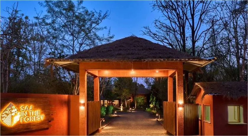 Saj In The Forest, Pench - Image 1