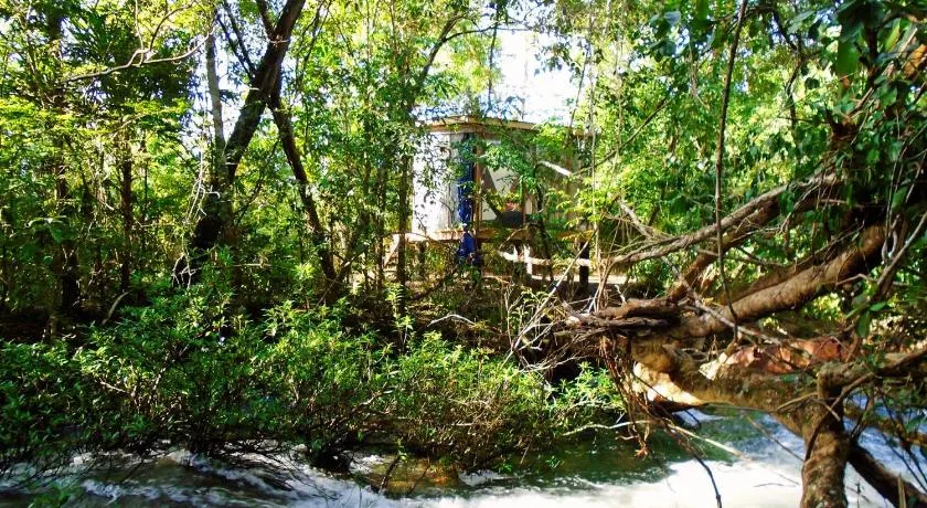 A to Z EcoFarm - Image 1