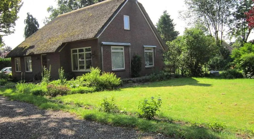 B&B Loon - Image 1