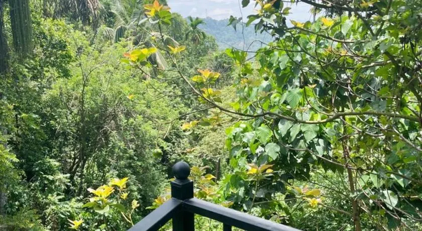 The Ambuluwawa Mount Feet - Image 1