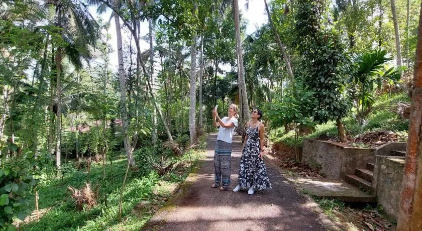 Windy Ridge Kandy - Image 1