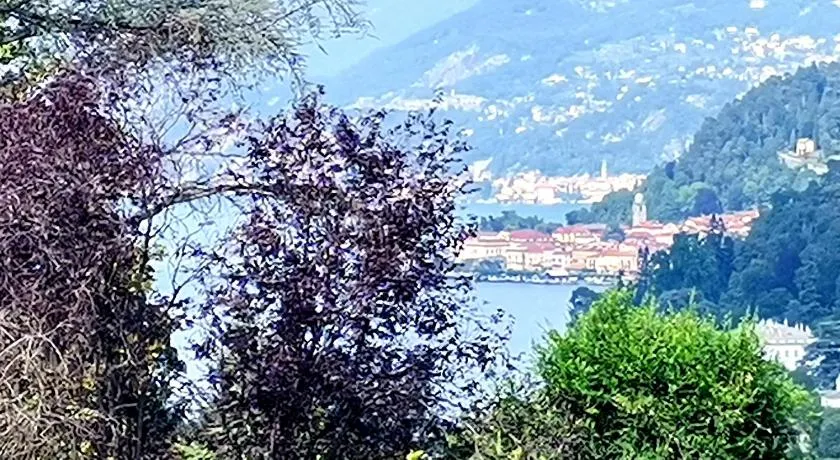 Mati's House - Image 1